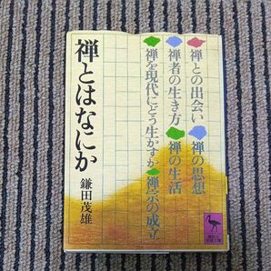 禅とはなにか (講談社学術文庫 409) 鎌田茂雄/〔著〕