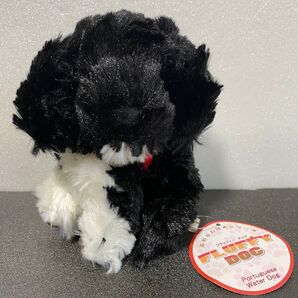 ポルトガルウォータードッグ ふわふわ フラッフィー ドッグ Portuguese WAter Dog ふわふわ仔犬シリーズ