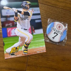 ホークス 中村晃