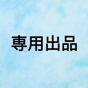 【専用出品①】
