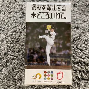 【匿名発送】新品未使用品 野球選手 ジパック 冷凍保存パック 3枚入り