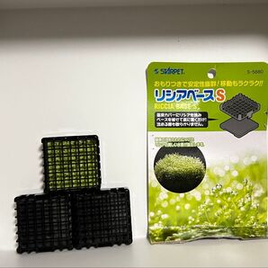 STARPET リシアベースS 3個セット 水槽用アクセサリー アクアリウム