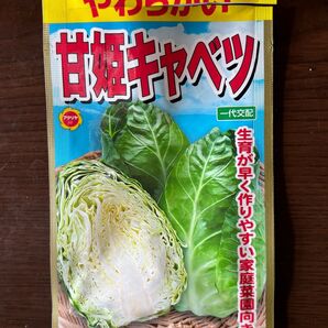 甘姫キャベツ ユニコーン種 のらぼう菜 種 おまけ付き