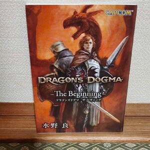 PS3 (プレイステーション)ドラゴンズドグマ -The Beginning-