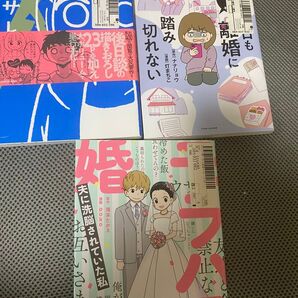 不倫サレ妻 踏み切れない離婚 夫に洗脳されていた私 3冊セット