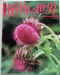 ＜フランス本＞　送料無料　［同梱割引あり］週刊朝日百科　植物の世界　２　アザミ　ノジギク　ハマギクほか １９９４年４／２４　