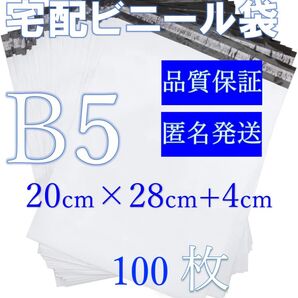 TーB5郵送袋宅配ビニール袋宅配袋B5梱包資材配送用梱包袋防水ネコポス宅配ポリ袋発送用