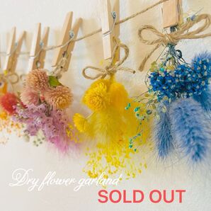 ドライフラワーガーランド なにわ男子メンバーカラー風 なにわ男子風ガーランド なにわ男子 ドライフラワー ガーランド ハロウィン