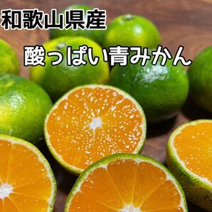 酸っぱい青みかん 和歌山県産 5kg箱込み お料理やジュースにどうぞ
