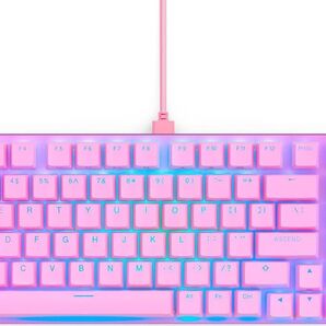 Glorious グロリアス GMMK2 pc ゲーミングキーボード 96% フルサイズ ピンク LEDバックライト付き 99キー