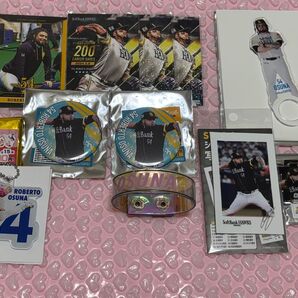 福岡ソフトバンクホークス オスナ選手 グッズまとめ売り 複数セット アクリルリング タカコレカード オーロラブレス 缶バッジなど