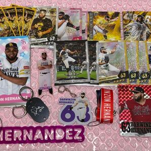 福岡ソフトバンクホークス ダーウィンゾン・ヘルナンデス グッズ まとめ売り ハードブロマイド アクリルキーチェーン タカコレカード