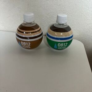 小柳津ホテル 宿泊者特典 ペットボトル 2本(緑・茶)