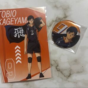 ハイキュー 挑戦者たち 缶バッジ 影山飛雄 ロフト