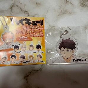 ハイキュー ミニハンガーアクリルチャームコレクション