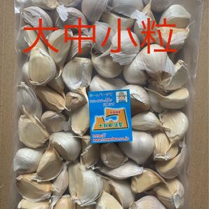 にんにく バラ800g 青森県産 十和田活菜 にんにく 大中小粒 国産にんにく ホワイト六片種にんにく 25日以降発送