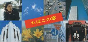 たばこの窓　日本専売公社　紀州徳川家伝来たばこ盆・世界のパイプ・日本橋高島屋1階たばこサービスセンター印・煙草愛煙家パンフレット