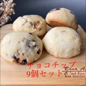 大きい 贅沢 スコーン チョコチップ 9個入 フレッシュバター 生クリーム入り