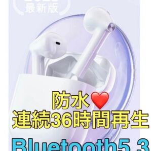 ワイヤレスイヤホン Bluetooth5.3 EDR搭載 重低音インナーイヤー型