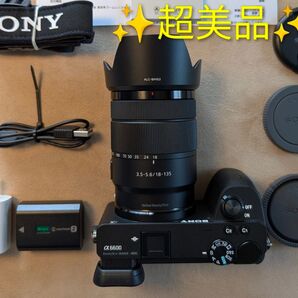 ☆新品級&クリーニング済☆高倍率ズームキット SONY α6600 ILCE-6600M