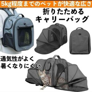 ペット用 キャリーバッグ リュック 折りたたみ コンパクト 猫 犬 軽量 防災グッズ 通院 おでかけ グレー メッシュ