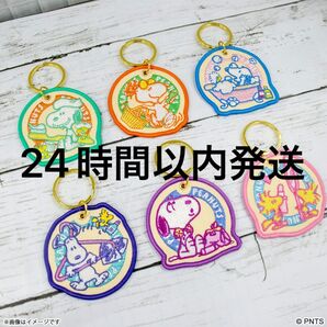 全種類セット スヌーピー 刺繍キーホルダー ピーナッツ peanuts ウッドストック ストラップ SNOOPY マツキヨココカラ