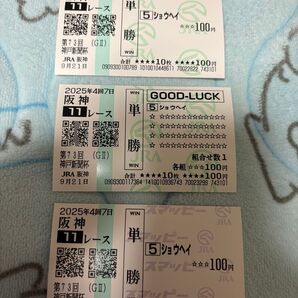 神戸新聞杯 ショウヘイ 単勝馬券セット