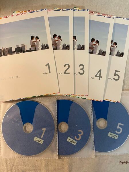 夏の恋は虹色に輝く 全話 5枚組 DVD