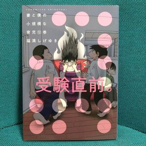 【初版】妻と僕の小規模な育児 12巻 最新刊 高校受験 福満しげゆき