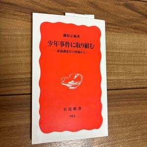 少年事件に取り組む 家裁調査官の現場から (岩波新書 新赤版 995) 藤原正範/著