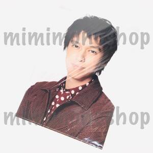 ★新品★即決★関ジャニ∞ 丸山隆平 【 クリア ファイル 】 公式 コンサート グッズ / LIVE TOUR!! 8EST みんなの想いはどうなんだい?