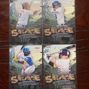 2025 Topps NPB Stadium Club Baseball Card