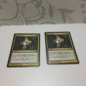 [ＭＴＧ]　貴重な発見　日ｘ２