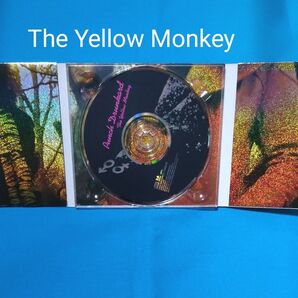 The yellow monkey /Punch Drankard CD1枚