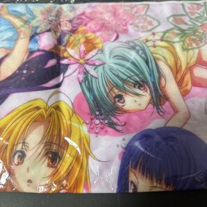 織田信奈の野望 クロス