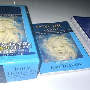 【正規品】サイキック タロットオラクルカード 日本語版 送料無料