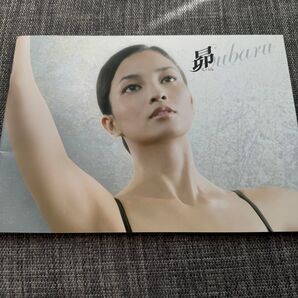 映画パンフレット 昴-スバル- 2009年公開 李芸監督 黒木メイサ 桃井かおり