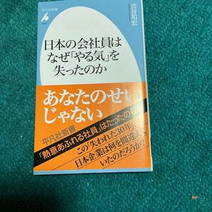 日本の会社員はなぜ「やる気」を失ったのか 渋谷和宏著