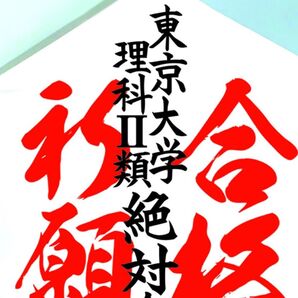 東京大学理科II類 合格祈願たこ #落ちない凧