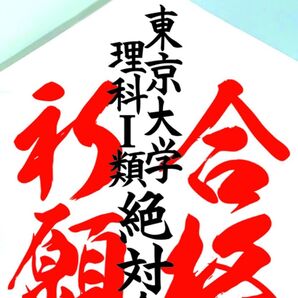 東京大学理科I類 合格祈願たこ #落ちない凧