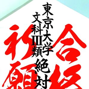 東京大学文科III 合格祈願たこ #落ちない凧