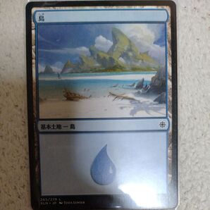 基本土地-島 カード