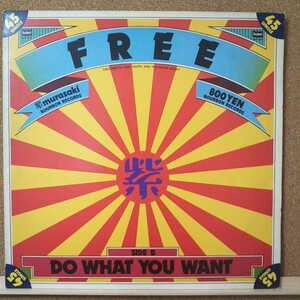 LP ジョージ紫/DO WHAT YOU WANT (同梱可能6枚まで)KAY5