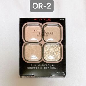 【OR-2 新色】ポッピングシルエットシャドウ コーラルロゼポップ