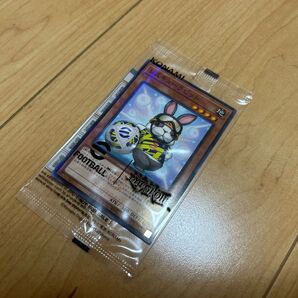 遊戯王 ネイマールトークンカード レスキューラビット