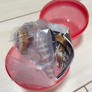 福井県立恐竜博物館監修 恐竜図鑑 スタンドフィギュア フクイラプトル ガチャ