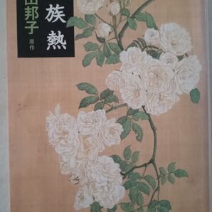 家族熱 (文春文庫) 向田邦子/原作 〔中野玲子/ノベライズ〕