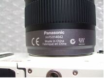 Panasonic DFC-GF2 + H-FS014042 レンズ + 充電器 + バッテリー_画像9