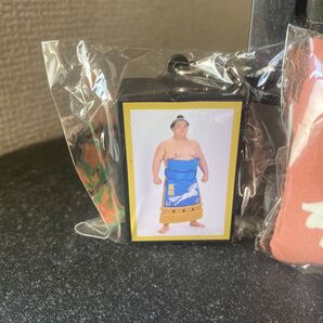 大相撲場所限定ガチャ王鵬 明荷 #大相撲ガチャ