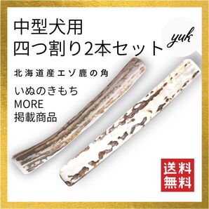 【送料無料】中型犬用 四つ割り 2本セット 鹿の角 犬のおもちゃ 鹿の骨
